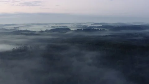 High flight over the thick summer morning fog. Aerial drone view. Stock Footage 228747814