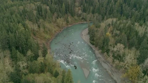 High fly by looking down at oxbow area on Hoh River Washington State Stock Footage 165526285