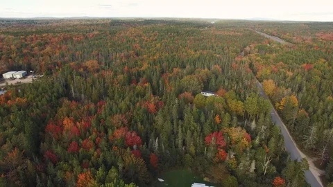 High fly over maine trees Stock Footage 96709835
