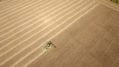 A high flying drone flies over of a combine harvester collecting sunflower. Video stock 82473119