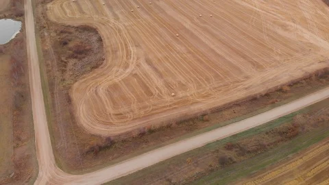A high flying drone moving slowly forward over a large harvest wheat field  Stock Footage 118267487