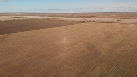 High flying drone view moving slowly forward over large harvest wheat fields Stock Footage 118485196