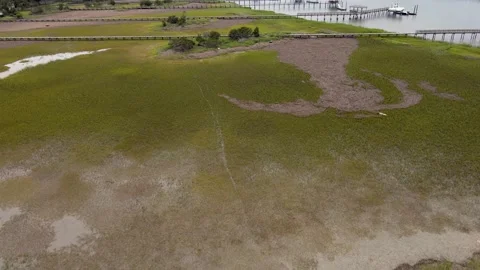 High-Flying Views: Late May Cloudy Day Drone Footage, Wild Dunes SC 스톡 동영상 242721235