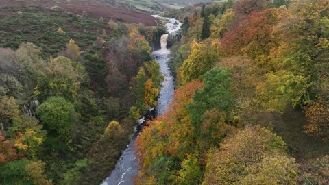 High Force waterfall sorrounded by beautiful autumn colours Stock Footage 264043154