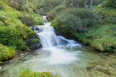 High Forest Waterfall Stock-Fotos
