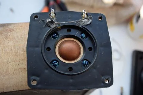 High frequency speaker 10gdv-2 with a silk membrane of the frequency emitter. Foto stock