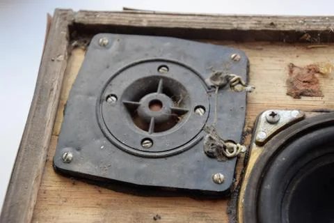 High frequency speaker 10gdv-2 with a silk membrane of the frequency emitter. Stock Photos