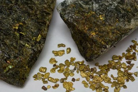 High-Grade Gold Ore and California Placer Gold Nuggets - USA Stock Photos