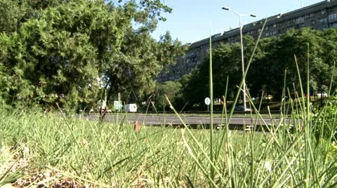 High grass and high way Stock Footage 11216756