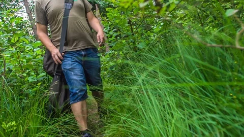 High grass in a forest Stock Footage 112175679