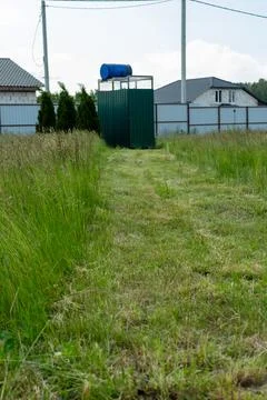 High green grass blowing in the wind on a backyard lawn. Summer garden care.. Stock Photos