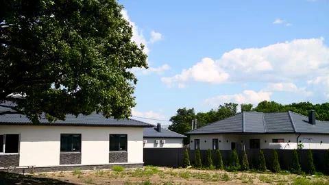 High green tree sways in the wind against the blue sky Vídeo Stock 273197700