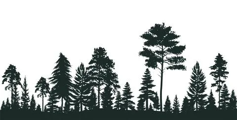High grey fir trees forest on white silhouette Stock Illustration
