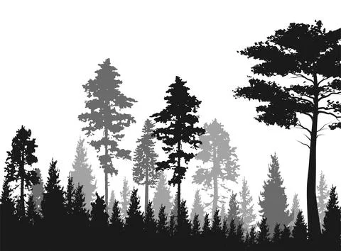 High grey fir trees forest on white silhouette Stock Illustration