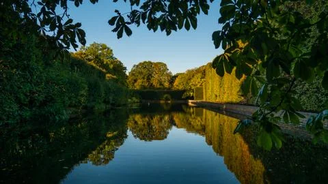 High hedge and its reflection in the pond at the Oliwa Park in the autumn. 写真素材