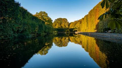High hedge and its reflection in the pond at the Oliwa Park in the autumn. Stock Photos