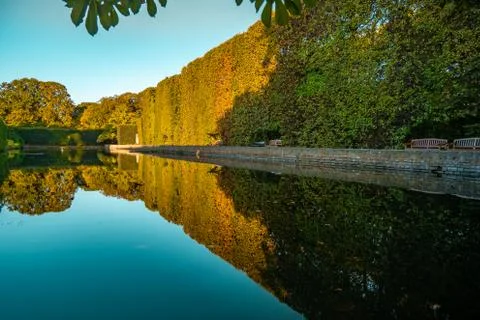 High hedge and its reflection in the pond at the Oliwa Park in the autumn. 写真素材