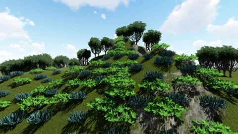 High Hill with Different Trees Stock Footage 337704894