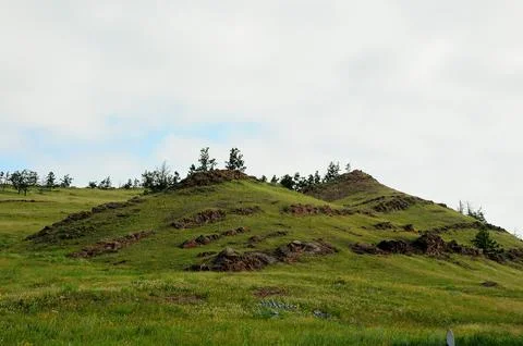 A high hill with parallel rows of rocky formations on the slopes and a few .. Stock Photos