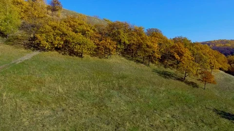 High hills covered with forest Stock Footage 99743827