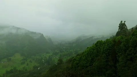 High Humidity In Jungle Rainforest. Epic Nature timelapse background Stock Footage 76920651