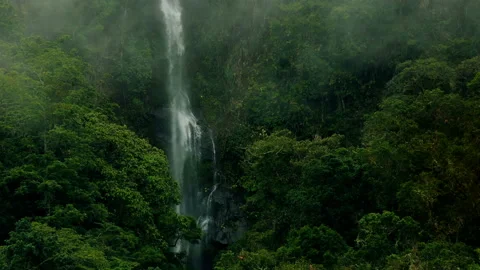 High Humidity In Jungle Rainforest with a powerful waterfall. Epic waterfall 4k Stock Footage 118013173