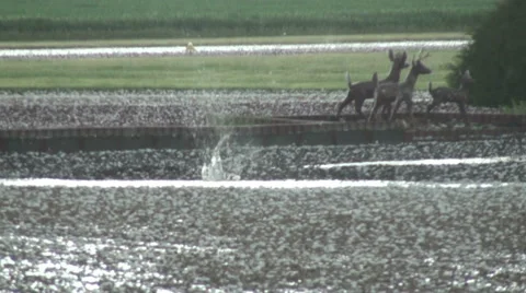 High Impact Stock Footage 54750308