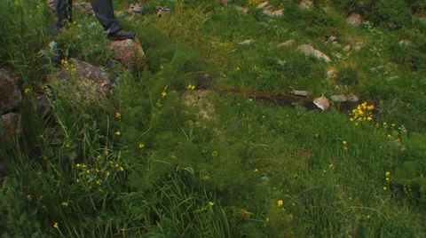 High Jump Stock Footage 1032569