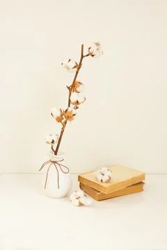 High key composition with a white vase and a cotton branch. Minimalism concep Stock Photos