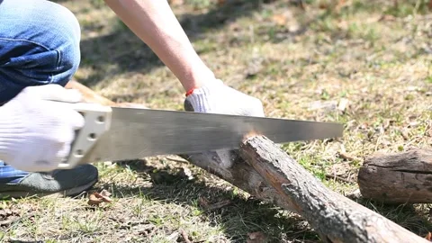 High-key exposure, Selective Focus. Man wearing Work Gloves Saws Dry Branche Stock Footage 157208029