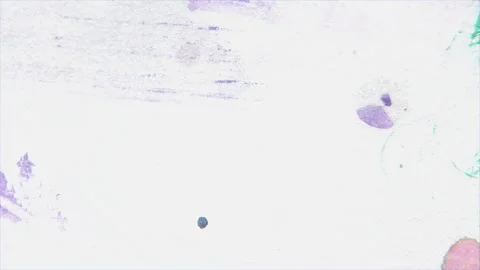 High Key White Distressed Grunge Texture Background Stock Footage 337903742
