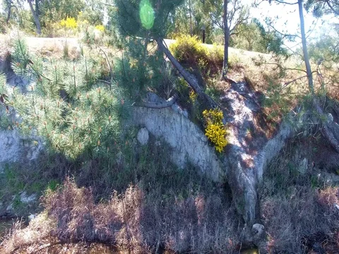 High lake coast 스톡 동영상 73626415