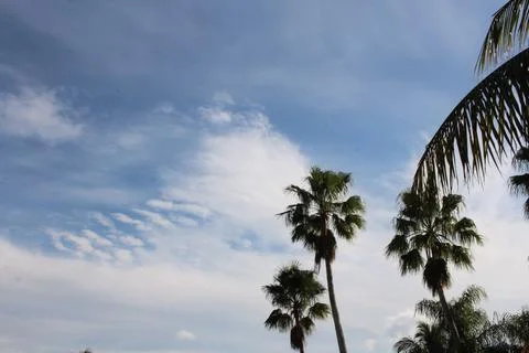 High level clouds Stock Photos