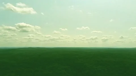 A high level drone video of the beauty and wildness of a vast Alabama forest Stock Footage 340102409
