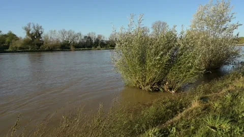 High level of the River Loire in Burgundy Stock Footage 290172056