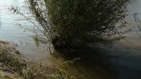 High level of the River Loire in Burgundy Stock Footage 290172061