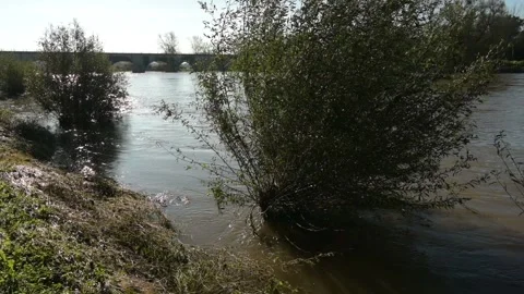 High level of the River Loire in Burgundy Stock Footage 290172065
