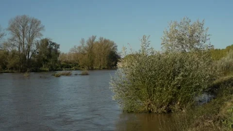 High level of the River Loire in Burgundy Stock Footage 290172072