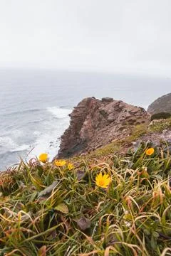 High limestone cliffs sinking into the Atlantic Ocean in the Algarve region,  Stock Photos