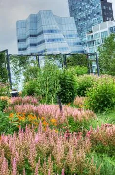High Line in NYC Stock Photos