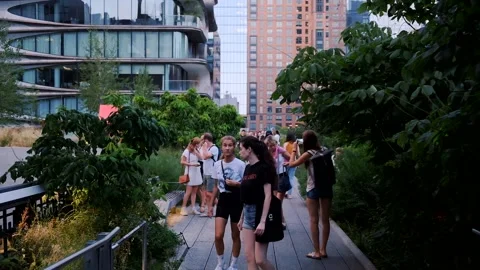 High Line Park, Manhattan crowd of people walking Stock Footage 145024409