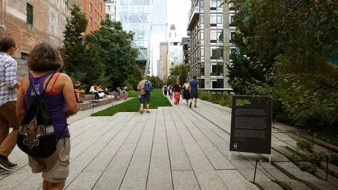 High Line Park, Manhattan Stock Footage 100020987