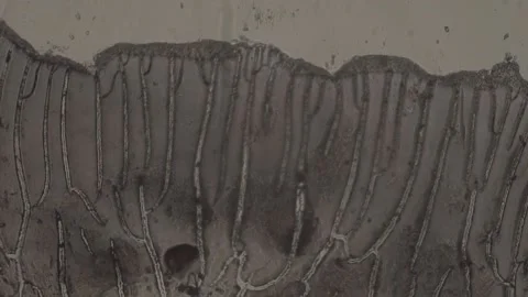 High-Magnification of abstract spot under microscope 100 fps Stock Footage 238377060