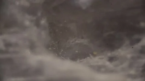 High-Magnification Crystal Sequance Under microscope Super Magnification. Stock Footage 237700781