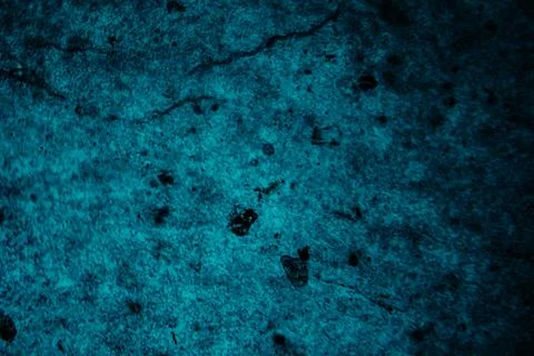 A high-magnification fluorescence microscopy image of a tissue sample. Stock Photos