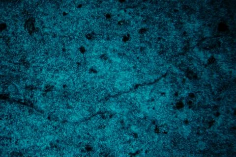 A high-magnification fluorescence microscopy image of a tissue sample. Stock Photos