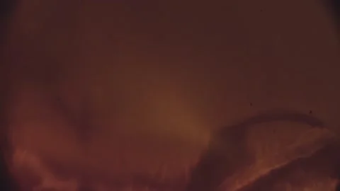 High-Magnification Kehlibar Under microscope Super Magnificatio Stockbeeldmateriaal 237700911