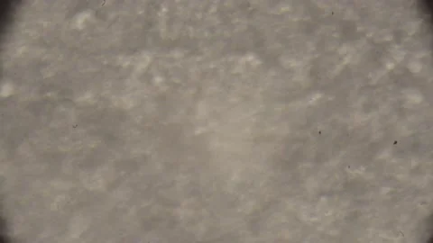 High-Magnification OCB paper Under microscope Super Magnification. Stockbeeldmateriaal 237700807