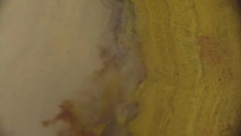 High-Magnification Orpheus agate Sequance Under microscope Super Magnification. Stockbeeldmateriaal 237700838