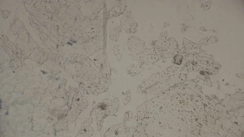 High-Magnification Snowflake Under microscope Super Magnification. Stock Footage 238374141
